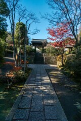 Garden Path