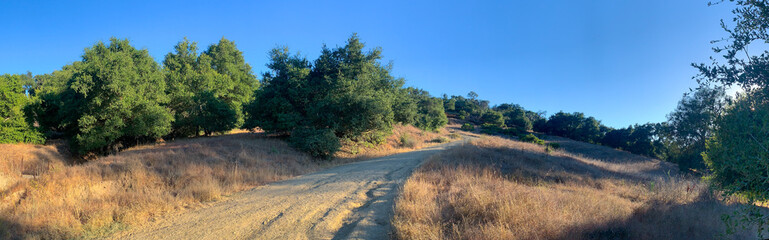 Fototapeta na wymiar Topanga State Park, Santa Monica Mountains, California