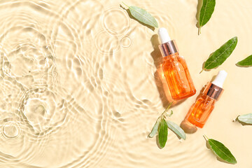 Bottles of essential olive oil and plant leaves in water on color background