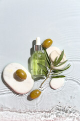 Bottle of essential olive oil, plant branch and spa stones in water on white background