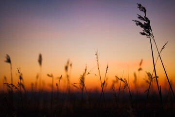 Sunset at lake in winter