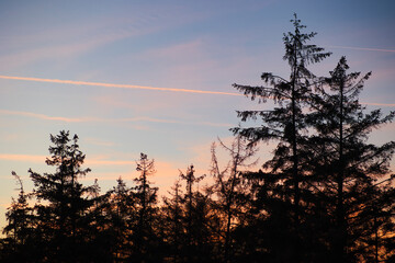 Fototapeta premium Sunset in Scandinavian forest in winter