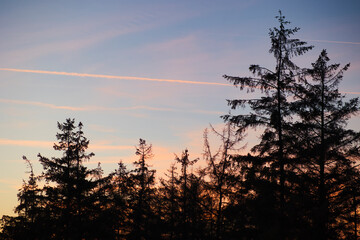 Sunset in Scandinavian forest in winter