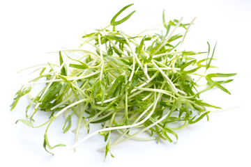 Water spinach sprouts. Organic vegetables