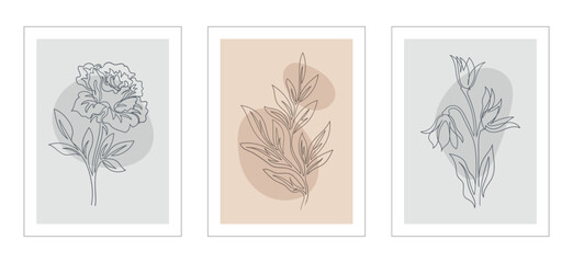 Set of botanical posters. Minimalistic organic postcards with plants, leaves and blooming flowers in line art style. Aesthetic wall art. Cartoon flat vector collection isolated on white background