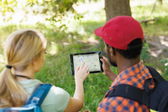 Rear view of diverse couple hiking in sunny forest, checking gps map on tablet