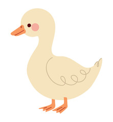 cute duck design