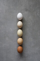 Minimalist Easter eggs. Nature colors gradient eggs on a gray background. A chicken egg as a valuable nutritious product. Top view flat lay