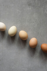 Minimalist Easter eggs. Nature colors gradient eggs on a gray background. A chicken egg as a valuable nutritious product. Top view flat lay