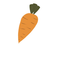 Colour Pencil carrot hand drawing isolated PNG 300dpi