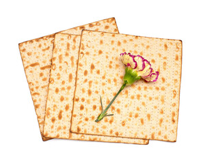 Jewish flatbread matza for Passover and beautiful carnation flower on white background
