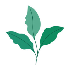 colored leaves design