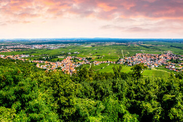 Naklejka premium Deutsches Weinstrasse, Rheinland Pfalz, Deutschland 