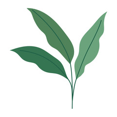 cute leaves illustration