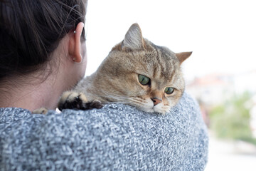 girl holding an British shorthair cat