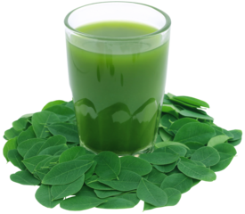 Moringa leaves with extract