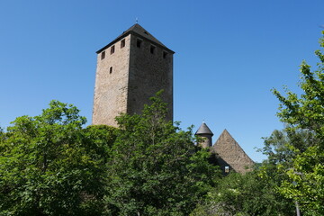 Obraz premium Burg bzw Burgruine Lichtenberg in der Pfalz