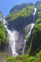 立山 称名滝　新緑の季節