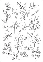 Set of vector vegetal decorative elements in black and white, contours and different forms of tropical leaves, silhouettes of leaves.
