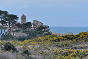 La côte de granit rose et sa lande à Ploumanac'h en Bretagne - France