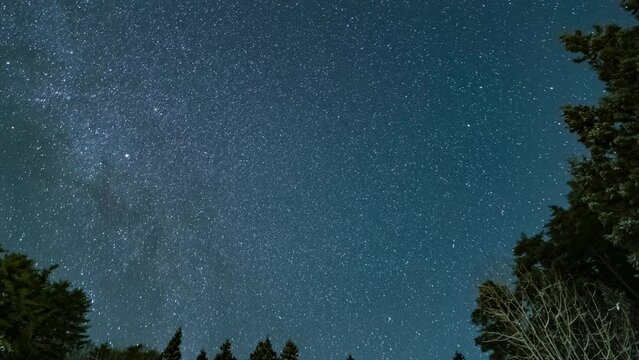 星の軌跡　北極星　長野県木曽郡上松町　日本
