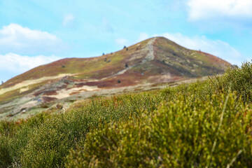 Fototapeta premium panorama of colorful bieszczady mountains in poland, europe during spring