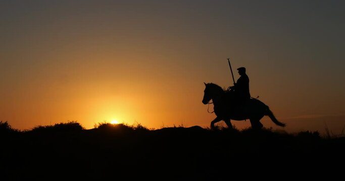 Man on his Camargue Horse, which Gallops at Sunrise, Manadier in Saintes Marie de la Mer in Camargue, in the South of France, Cow Boy, Slow Motion 4K