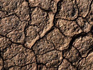 the texture of the dry cracked ground in the desert