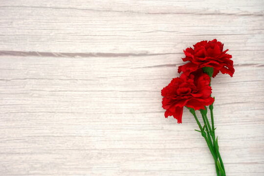 Mother's Day carnation (white wood grain background)