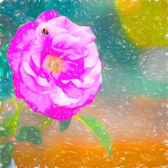 Lady beetle on a rose