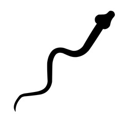 Snake Silhouette 