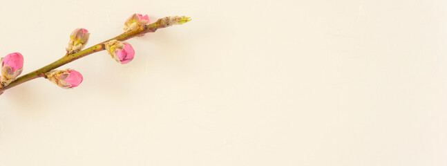 Naklejka na ściany i meble Spring background material. Japanese paper and peach blossom background. 春の背景素材。和紙と桃の花の背景