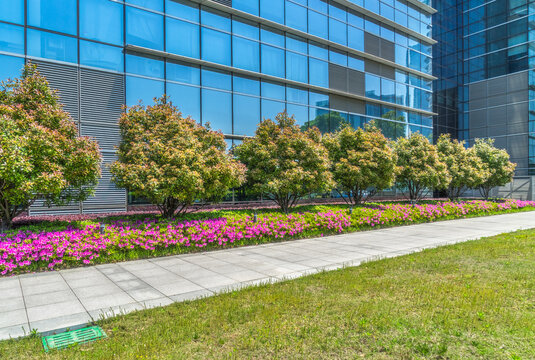 beautiful green meadow near modern office building.