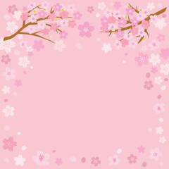 ピンクの桜の背景イラスト　スクエア