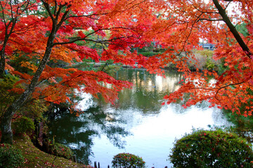 秋の須賀川牡丹園（福島県・須賀川市）