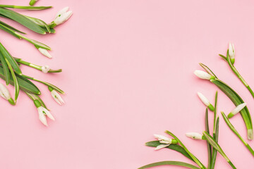 Frame made of beautiful snowdrops on pink background