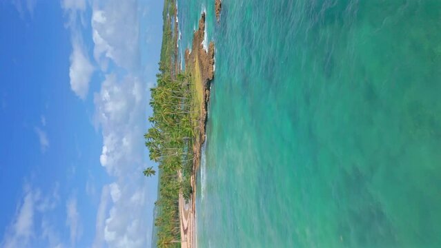 Vertical aerial of idyllic palm studded coastline and turquoise Caribbean ocean at Playa Los Coquitos, Cabrera, Dominican Republic