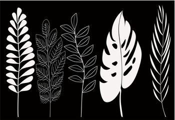 Plants isolated on black background, Set tropical leaves hand drawn flat illustrations