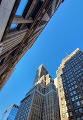 Naklejka premium city skyscrapers