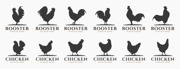 Silhouette chicken livestock, farm logo bundle. Perfect for company logos, business and branding.