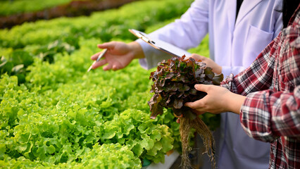 Cropped image of a farmer and agricultural scientist working together in the greenhouse.