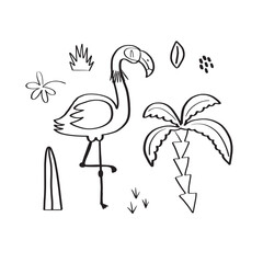 Cute flamingo surrounded by tropical plants. Doodle style vector illustration isolated on white background for your design