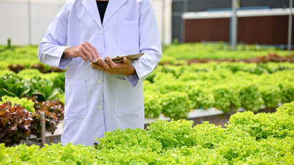 Cropped image of a male biologist working in the hydroponic greenhouse.