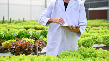 Cropped image of a male biologist working in the hydroponic greenhouse. smart farming