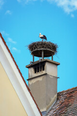 View of a nest with a stork against a blue sky