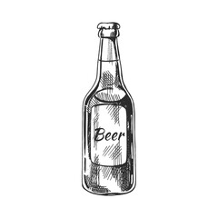 Fototapeta na wymiar Hand-drawn sketch of beer bottle isolated on white background. Vector vintage engraved illustration.
