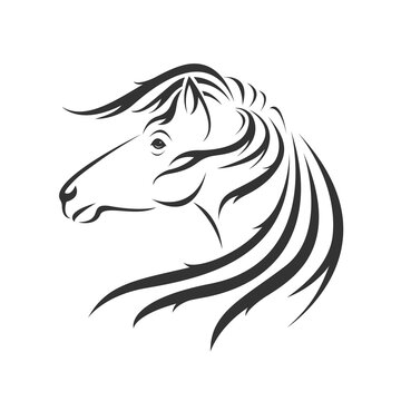 Horse head design isolated on transparent background. Wild animals.