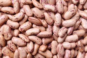Raw  pinto beans texture background 