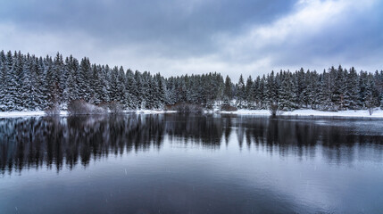 Zankweiser Teich im Winter
