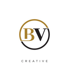 bv luxury logo design vector icon